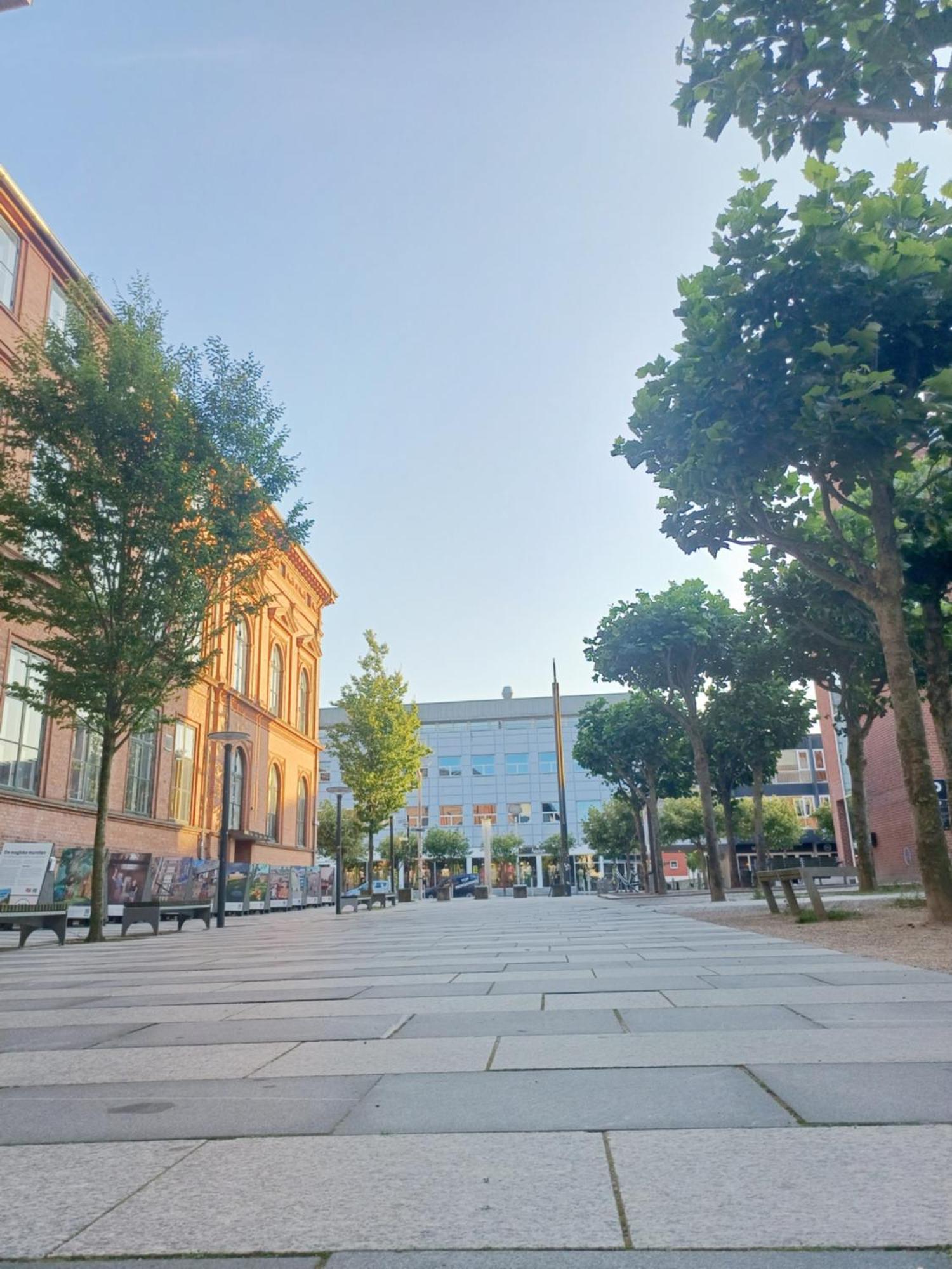 Beautiful Double Room In The Center Of City Randers Exterior photo